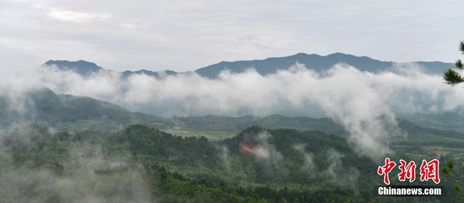 甘肃麦积山石窟雾霭缭绕 浓浓江南风韵