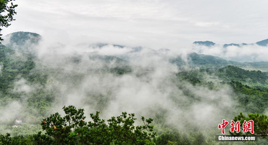 甘肃麦积山石窟雾霭缭绕 浓浓江南风韵
