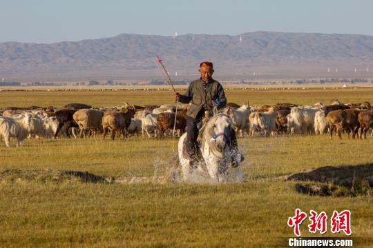 眼下，有着原生态湿地风光的巴里坤湿地，草原逐渐退绿变黄，多彩的景色更加迷人。 各种迁徙鸟类在这此停留觅食，与成群的牛羊、构成一幅自然和谐的画面。　达吾提·热夏提 摄