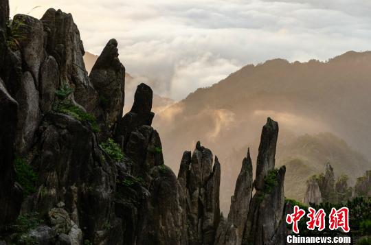 静态的峰林、巧石和苍松，与动态的云海、日出和溪水同框竞秀，美如画卷。　叶永清 摄