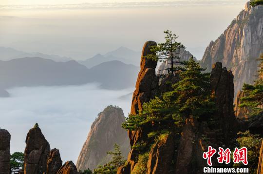 9月5日早上，安徽黄山风景区现壮丽的日出云海景观。　叶永清 摄