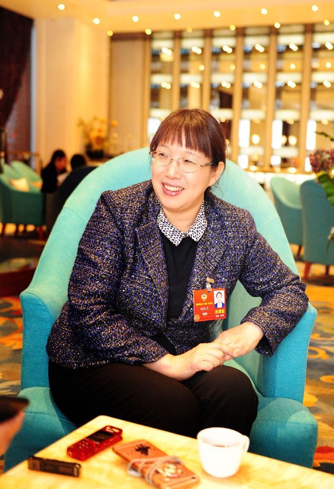 用"铁路方案"引领中国速度新高度 赵红卫委员:"智造"创一流 拼搏树