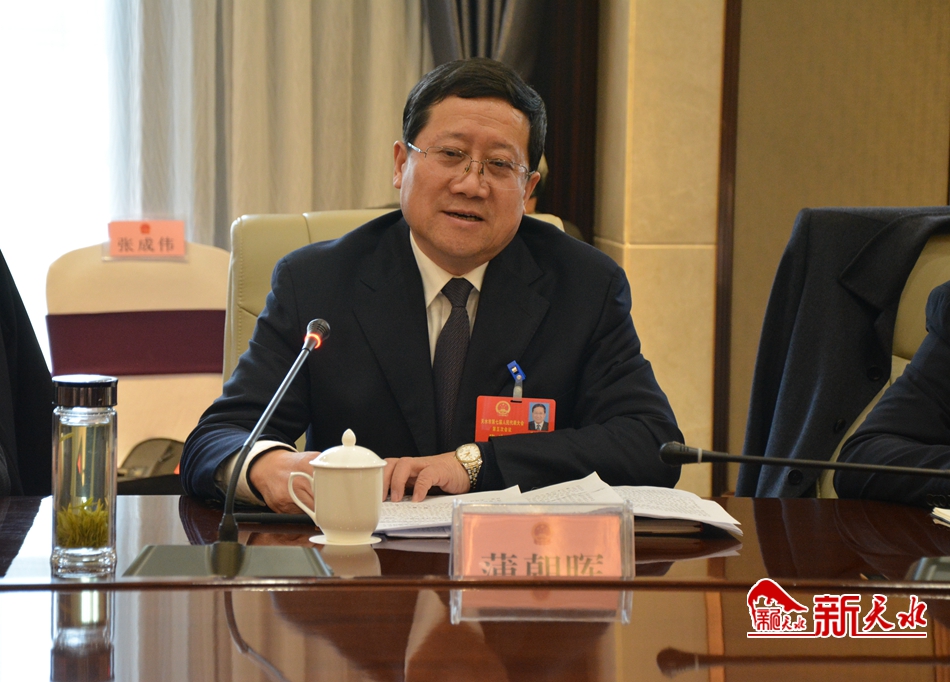 蒲朝晖参加甘谷代表团审议