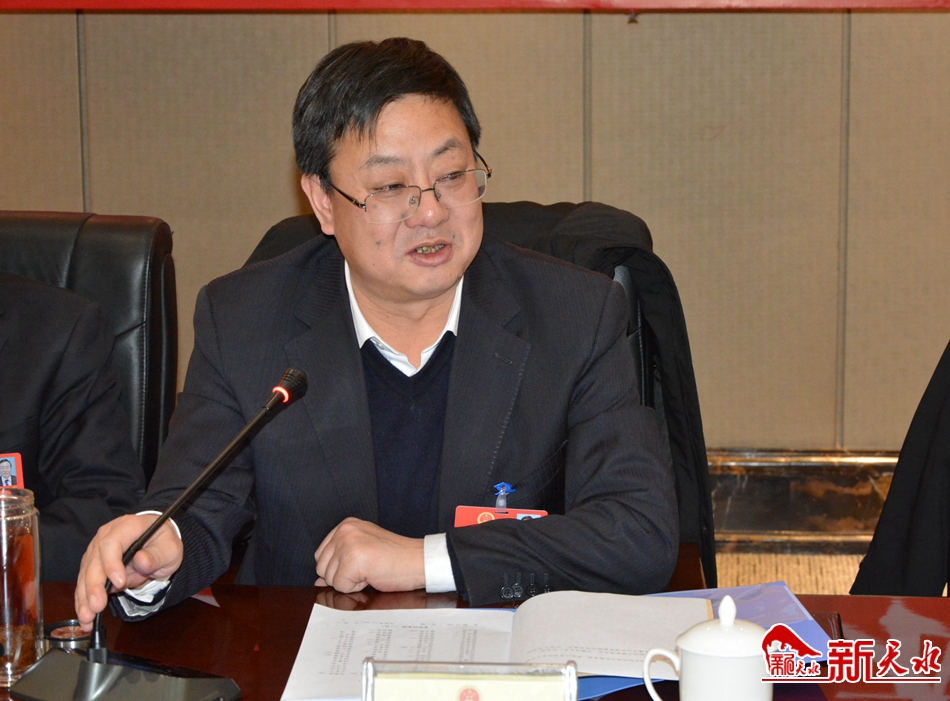 王东红参加秦安代表团审议时强调