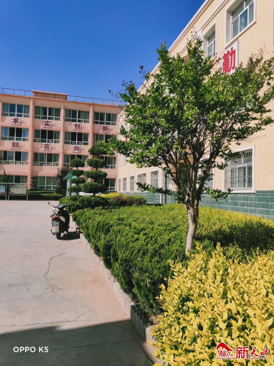 浅夏芬芳中的甘谷县新兴镇姚庄小学