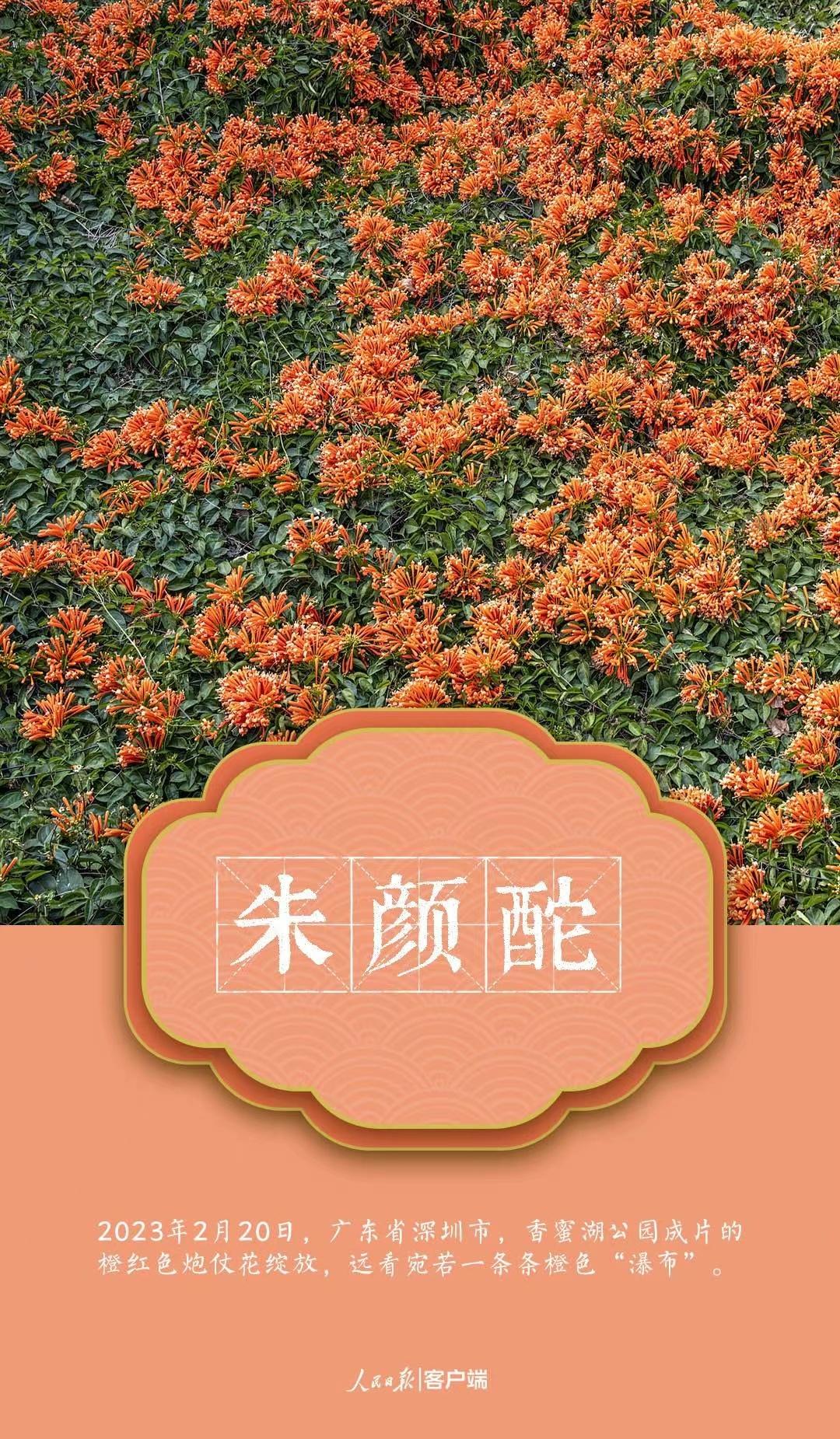 微信图片_202303222141254.jpg?x-oss-process=style/w10