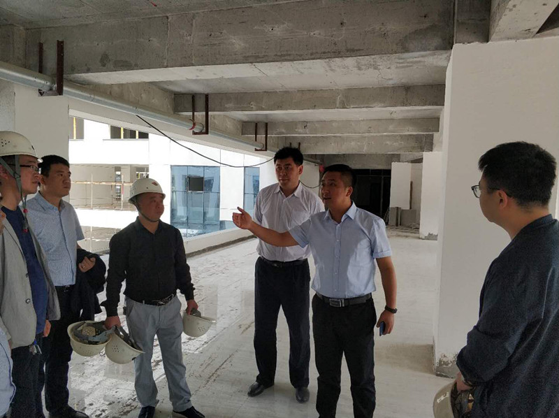 经济发展公司总经理张小龙督查项目建设