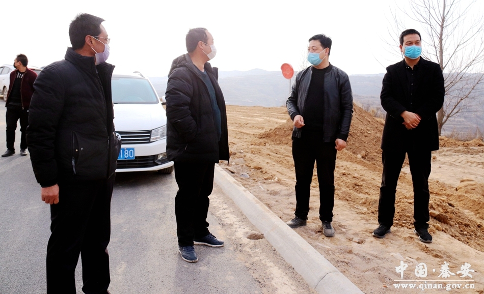 【造林绿化】莲花镇积极开展春季行道树栽植工作