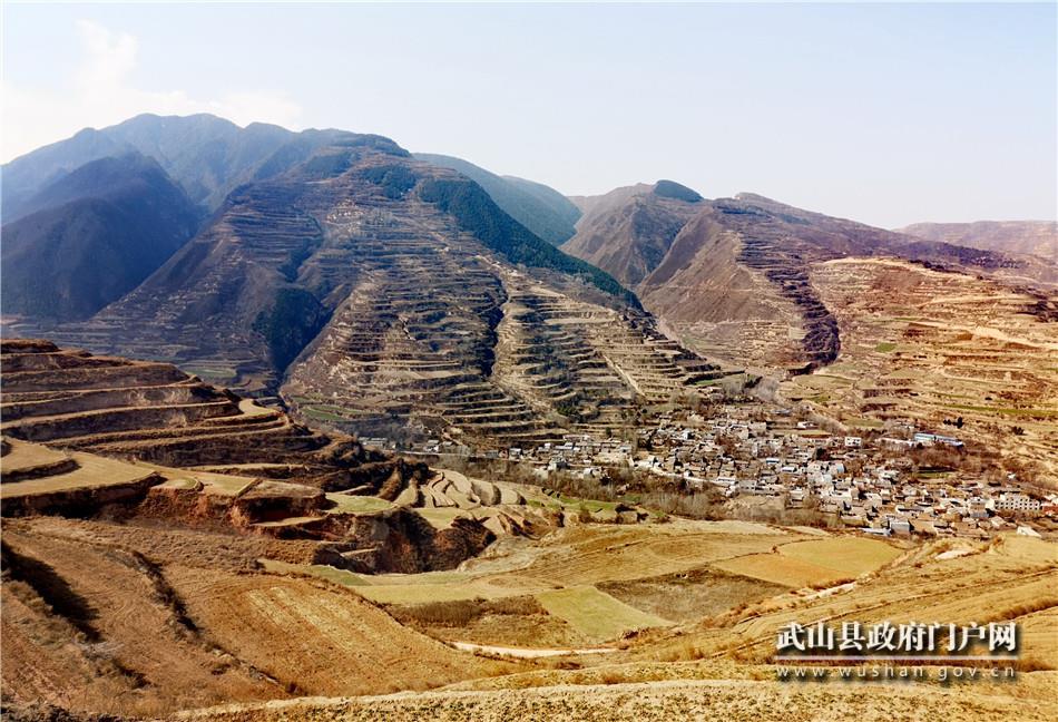 【春耕一线】武山县城关镇3000亩果园建设全面铺开