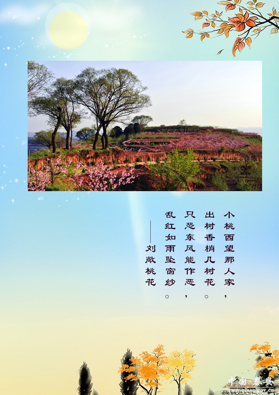 【云上桃花会·诗词】刘敞桃花