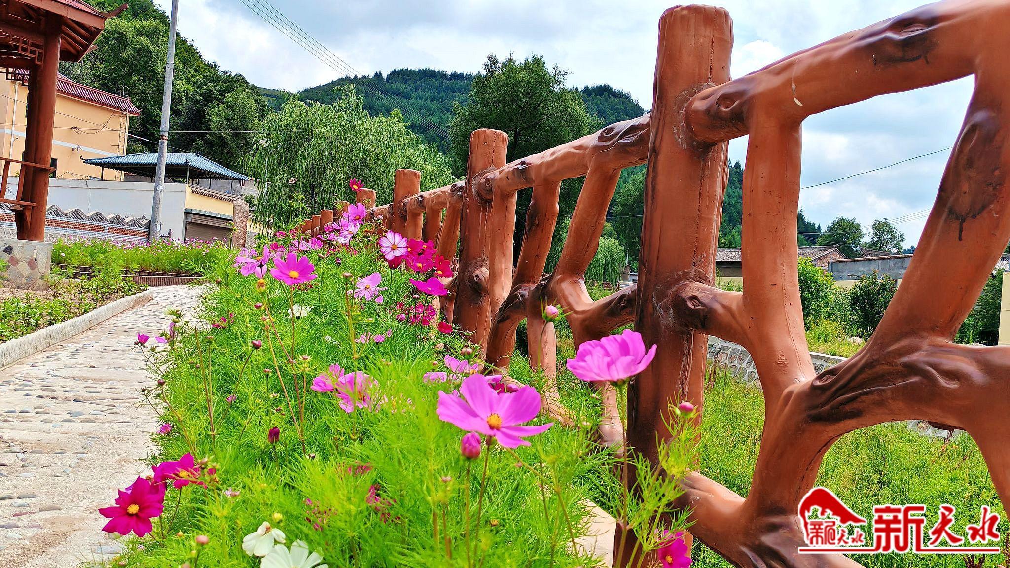 武山县温泉镇加强人居环境整治美丽乡村提颜增质