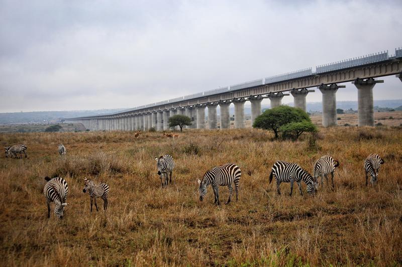 当地时间2018年12月5日,肯尼亚内罗毕,蒙内铁路穿过内罗毕国家公园采用全高架方式,保证野生动物可以安全穿过铁路。