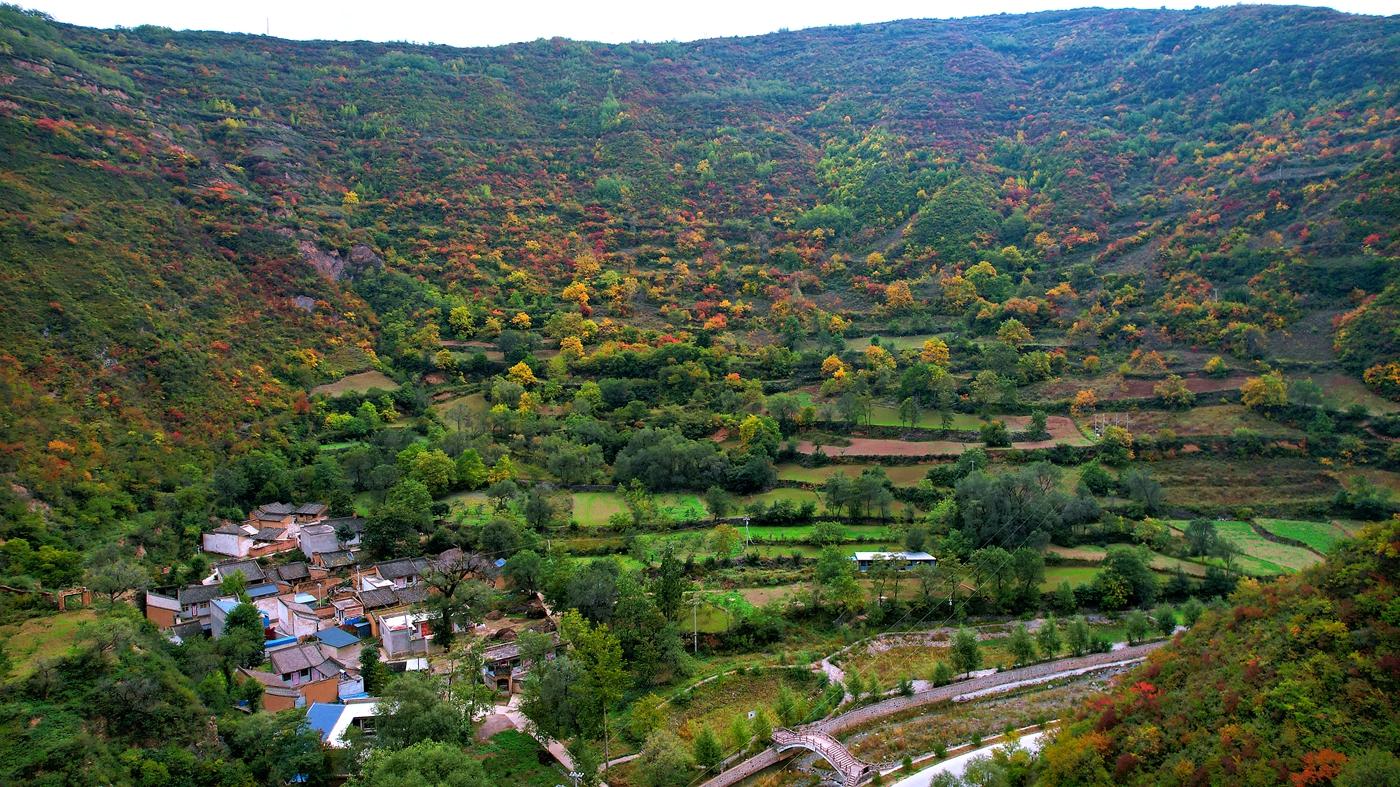 新天水-甘肃武山:深秋和初雪撞个满怀(组图)