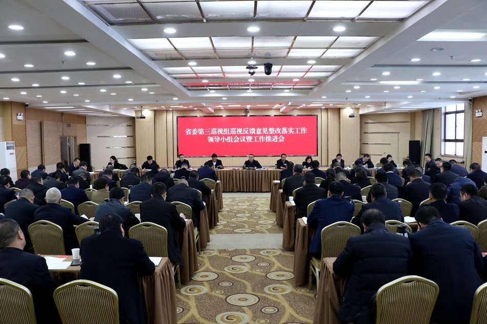 武山县召开省委第三巡视组巡视反馈意见整改落实工作领导小组会议暨