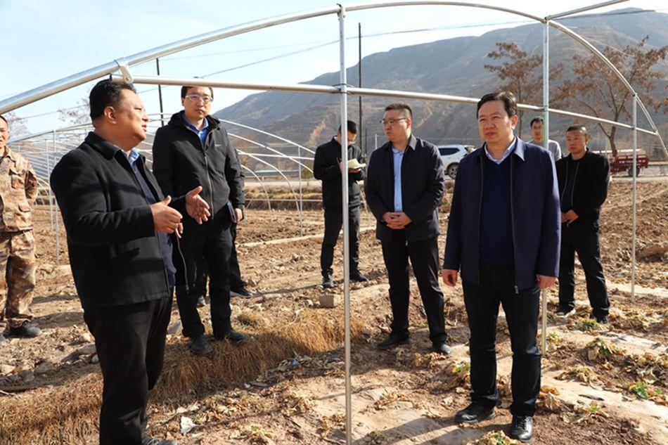 王志成调研督导春耕生产工作