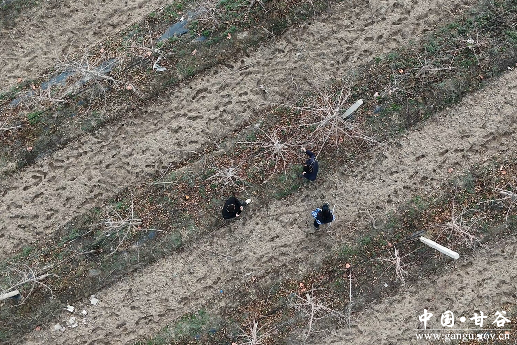 微信图片_20260320173352_40_148