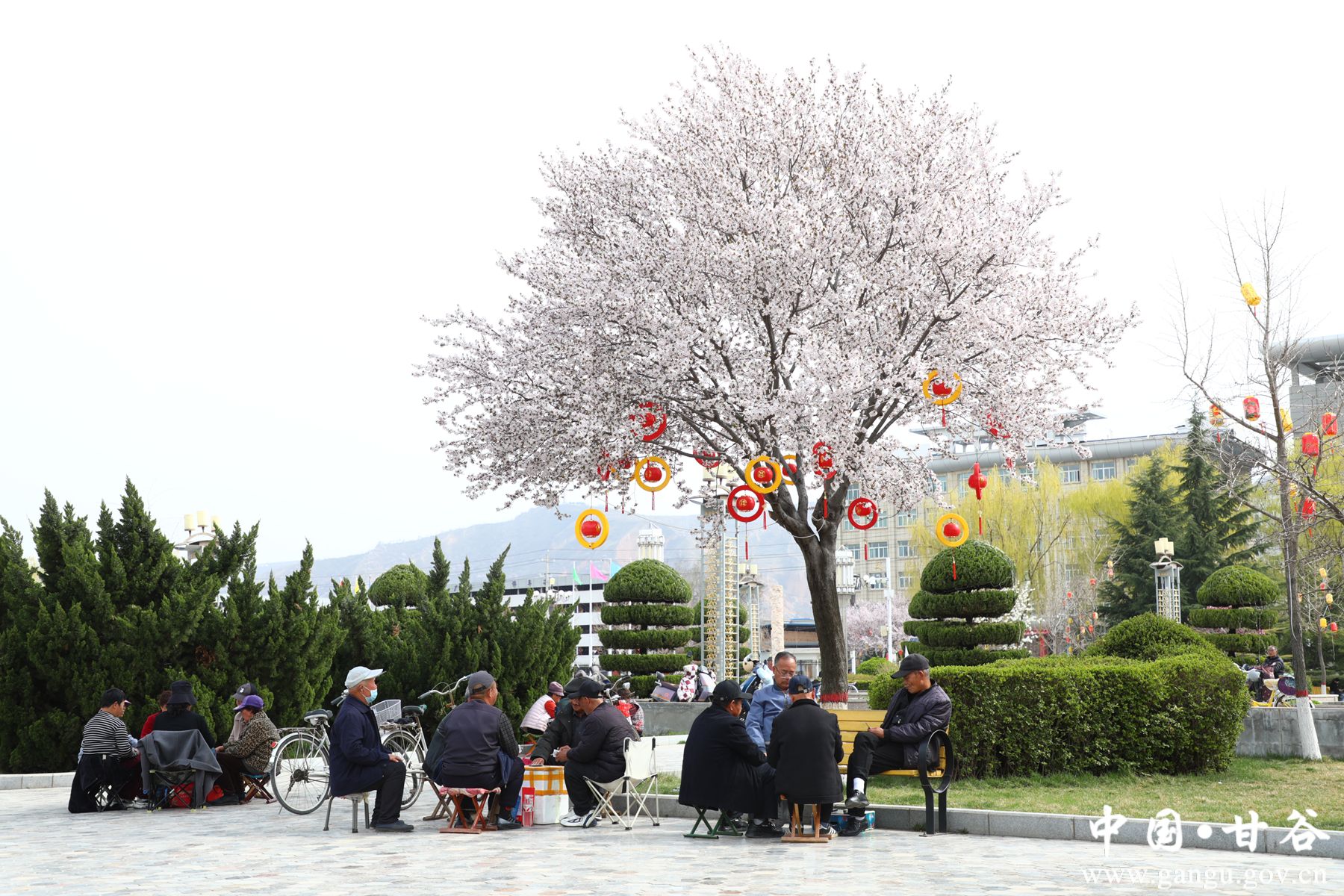 54f4bb7fabed6c1bb069623cc2c68a0_副本