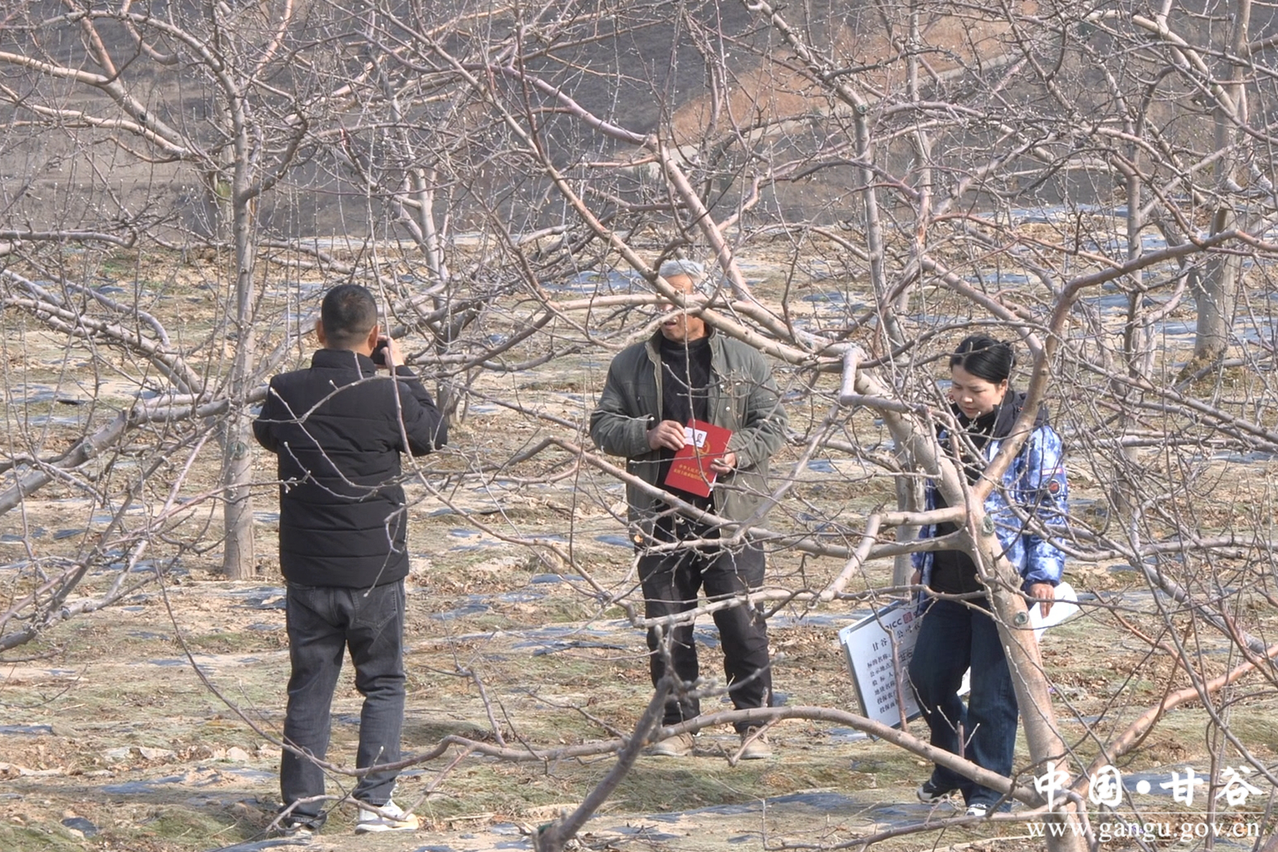 微信图片_20260320173344_35_148