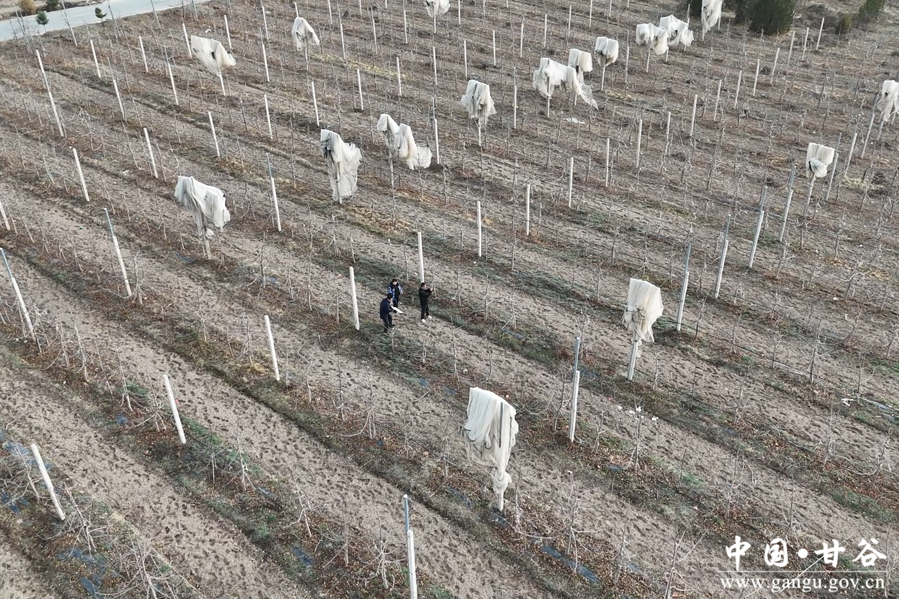 微信图片_20260320173347_37_148