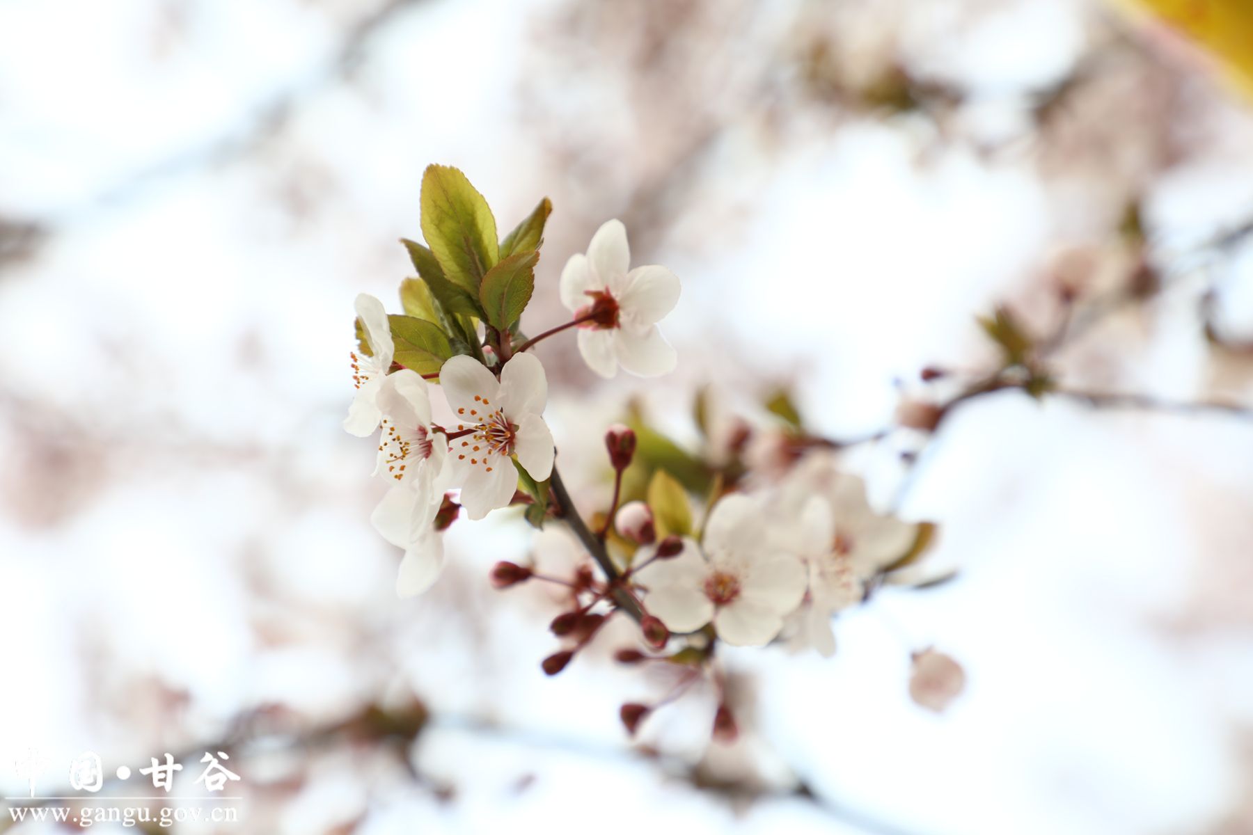 121b2775a3cfbaebecd7b6e73b4cee2_副本