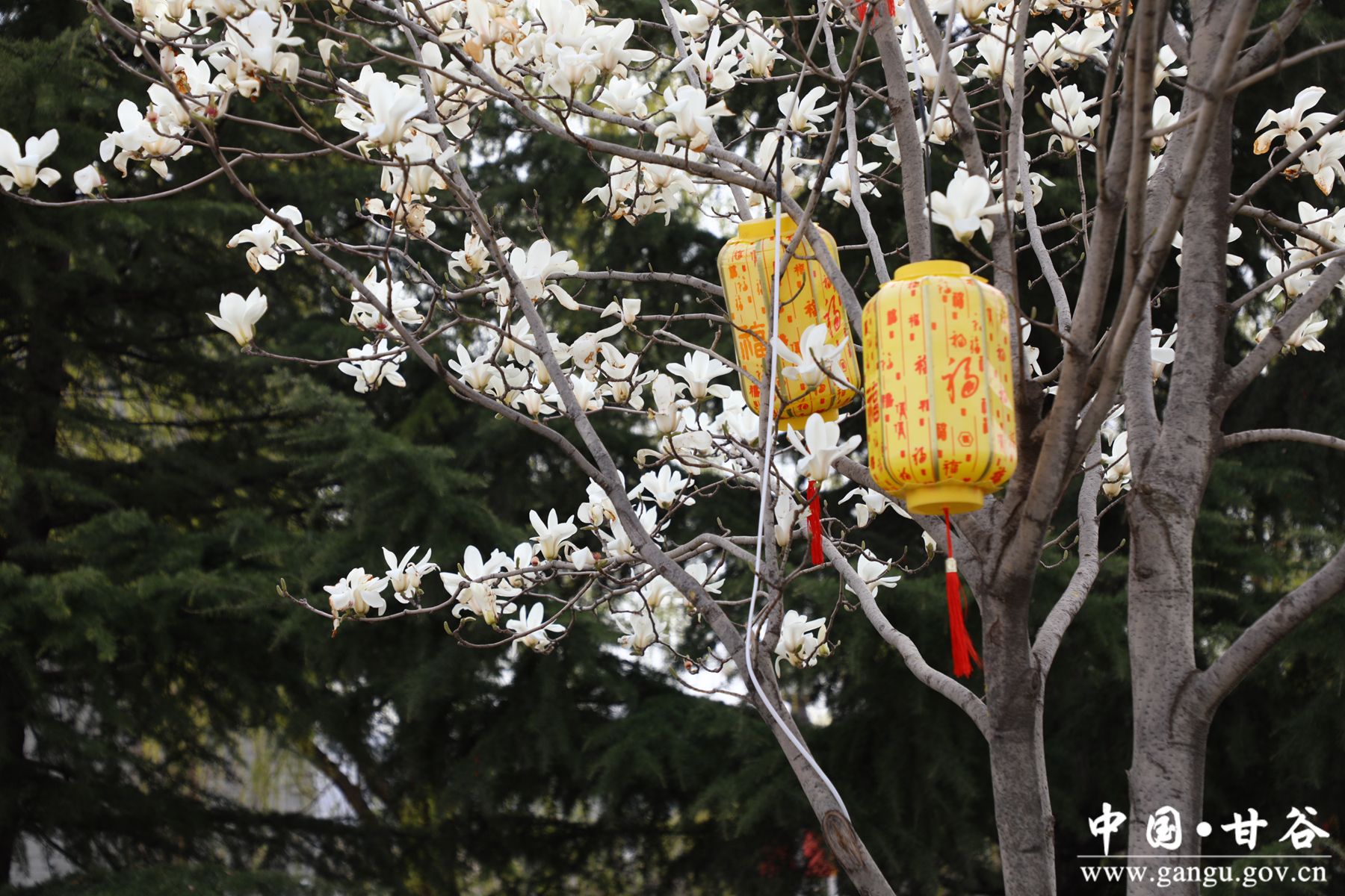 7ae91c13f0e41c7544849478443a5c4_副本