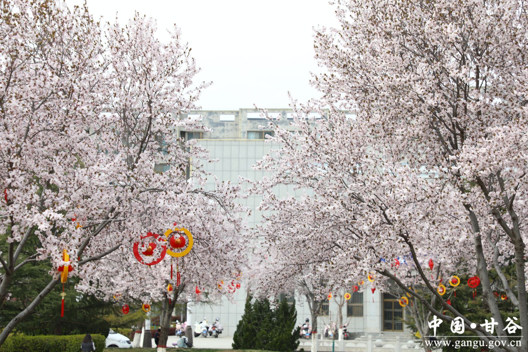 40b94e22af84c0c300ee61c1ab7ccfd_副本