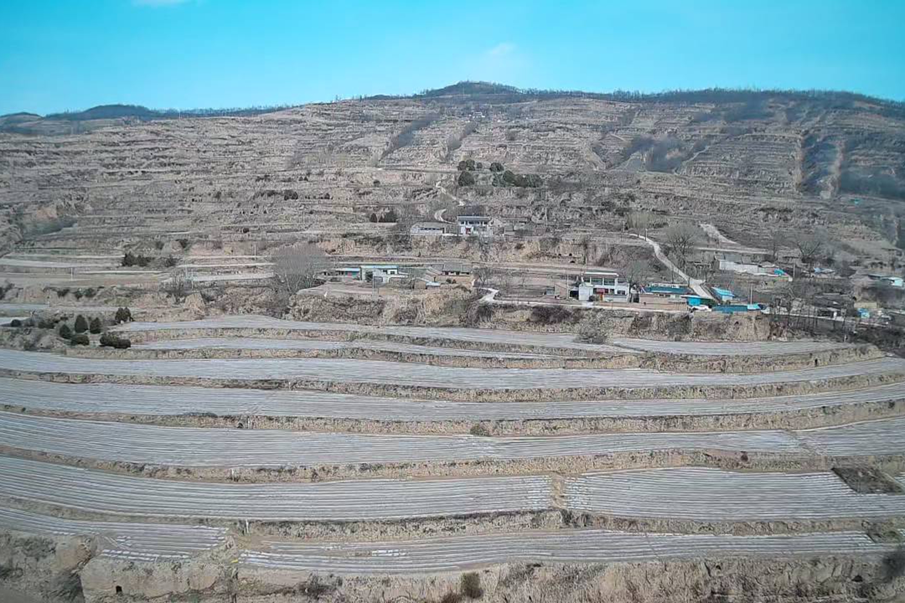 0f2812d80054435ebef1d204fb37b0d5