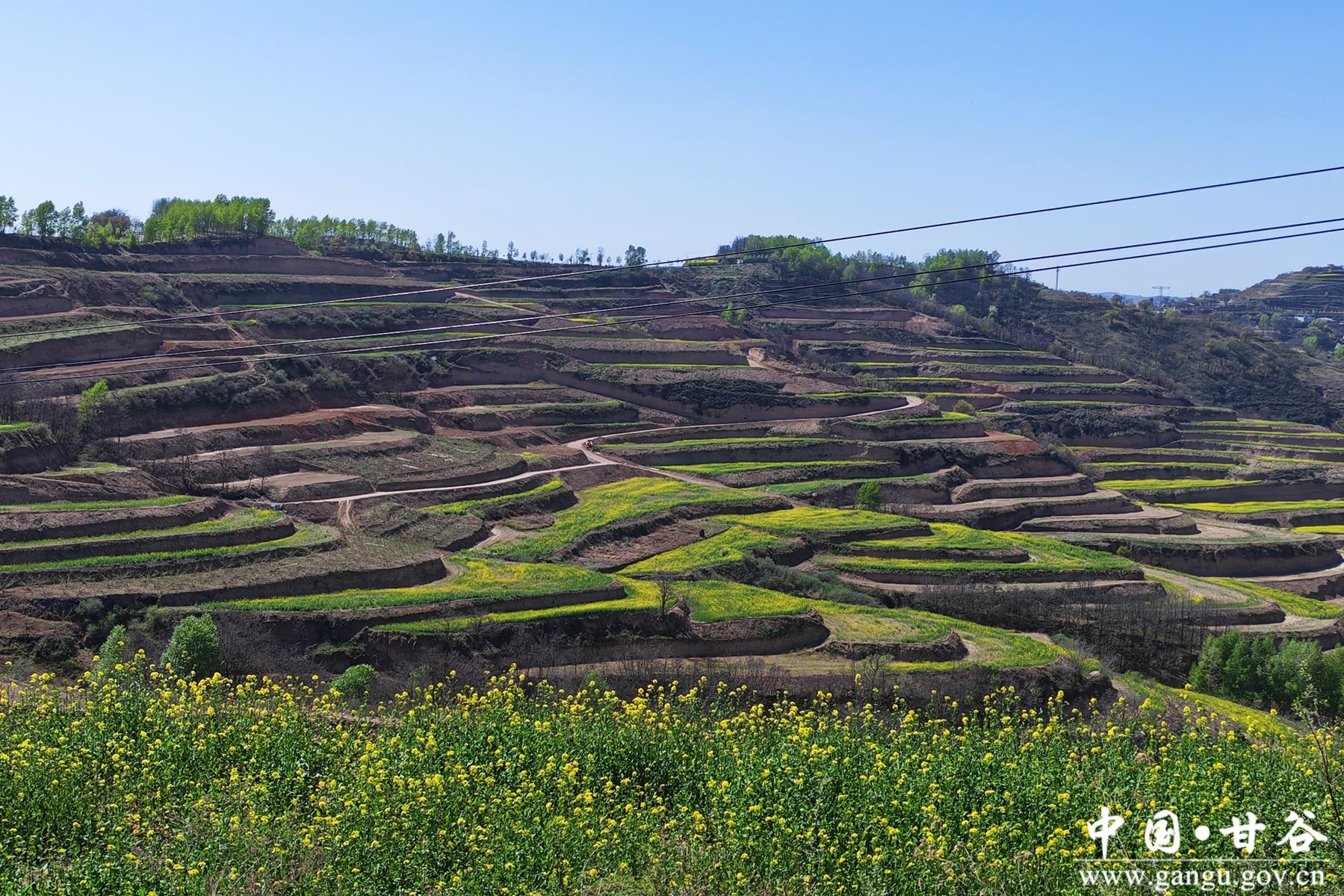 微信图片_20260417163523_71_4