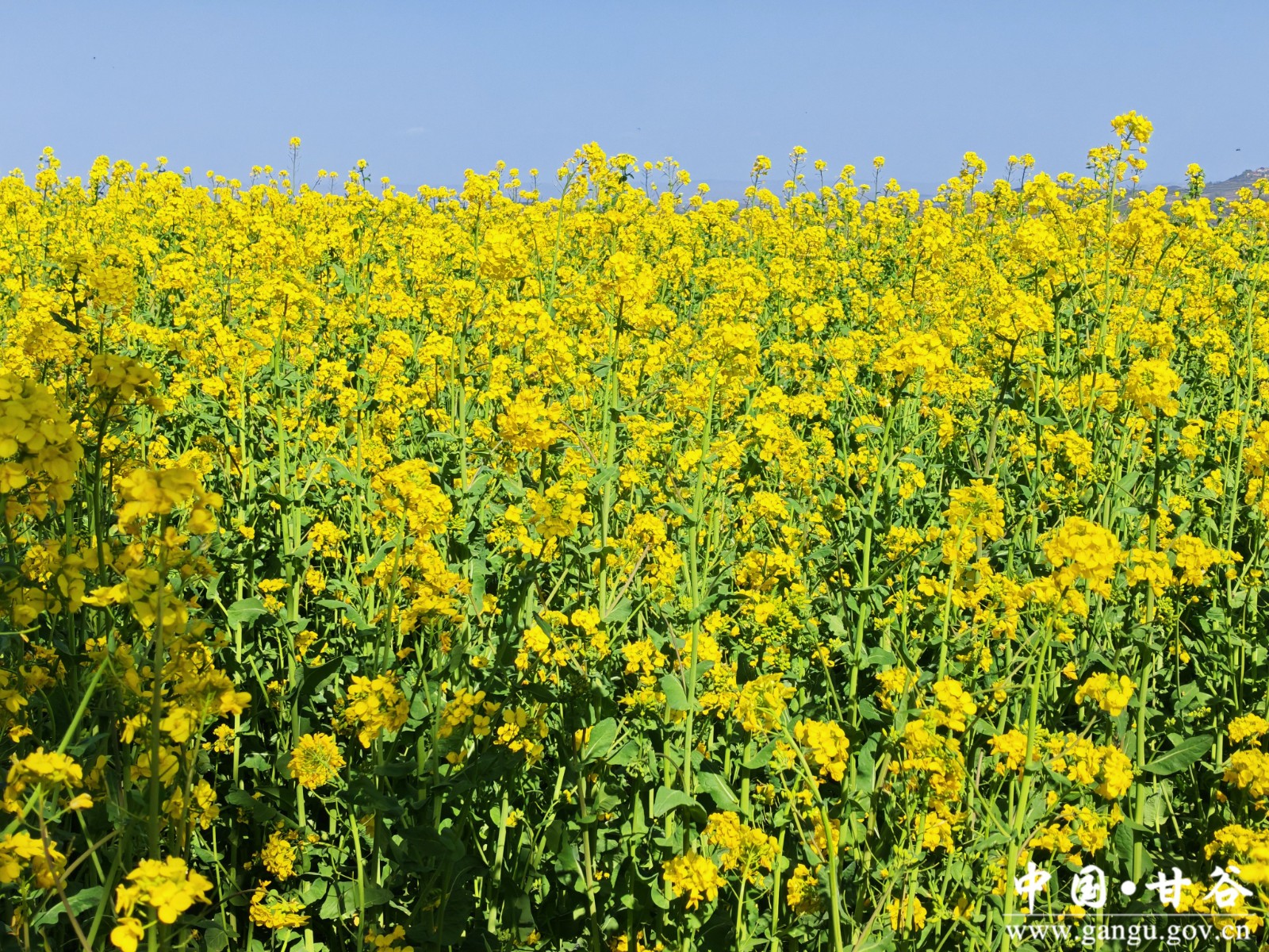 微信图片_20260417163507_67_4