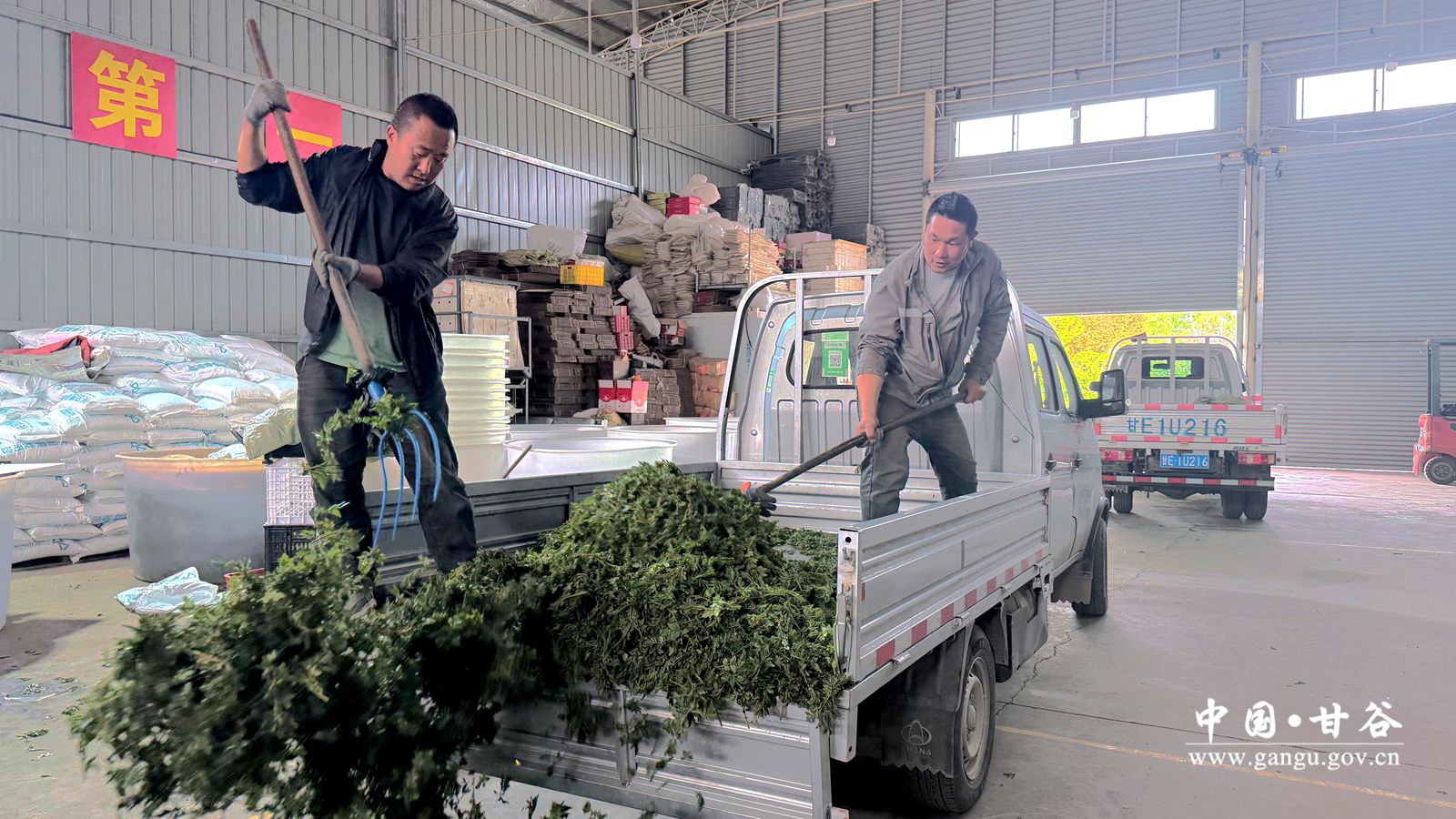 微信图片_20260422190732_108_2_副本