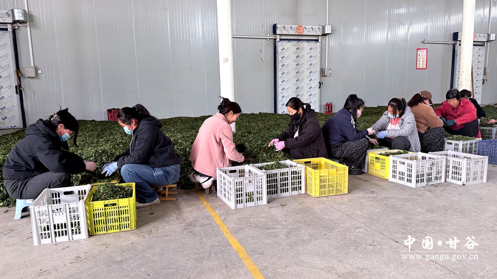 微信图片_20260422190735_109_2_副本