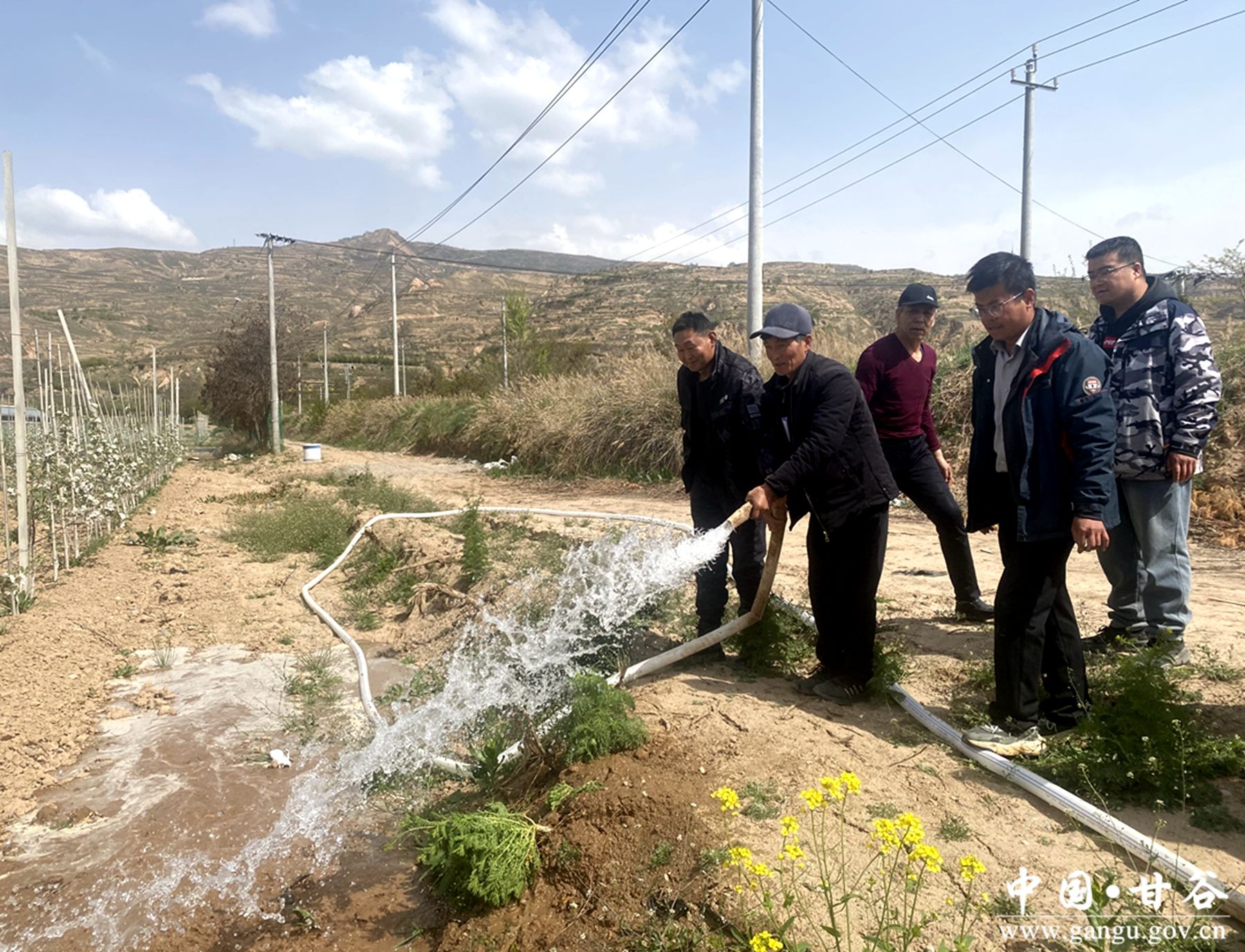 ac39959e800cd4005258258a4672f055