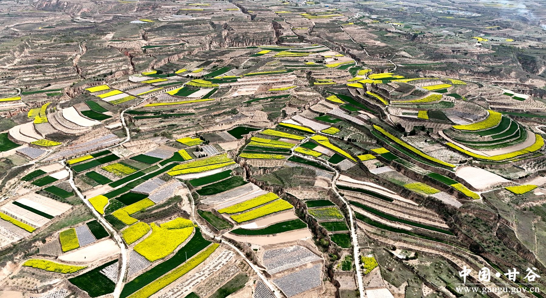 ff37fd34a81723512896743da784c816