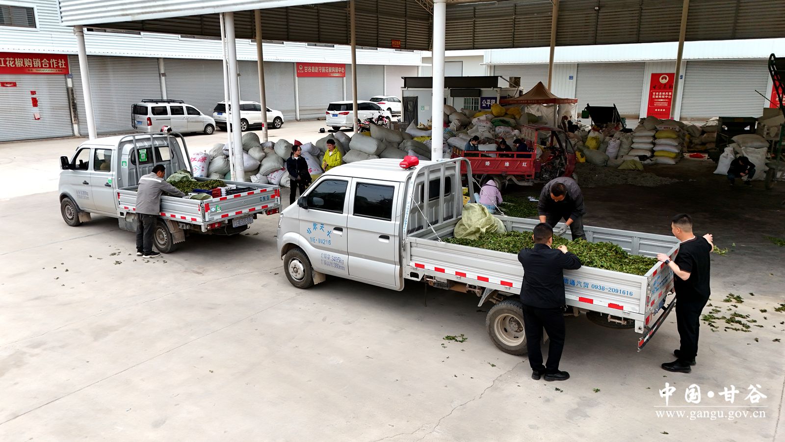 DJI_20251112141537_0429_D_副本