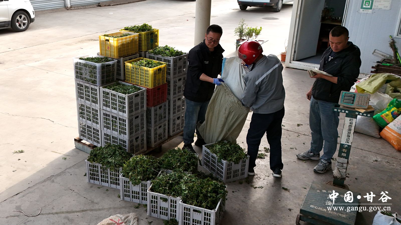 DJI_20251112162532_0468_D_副本