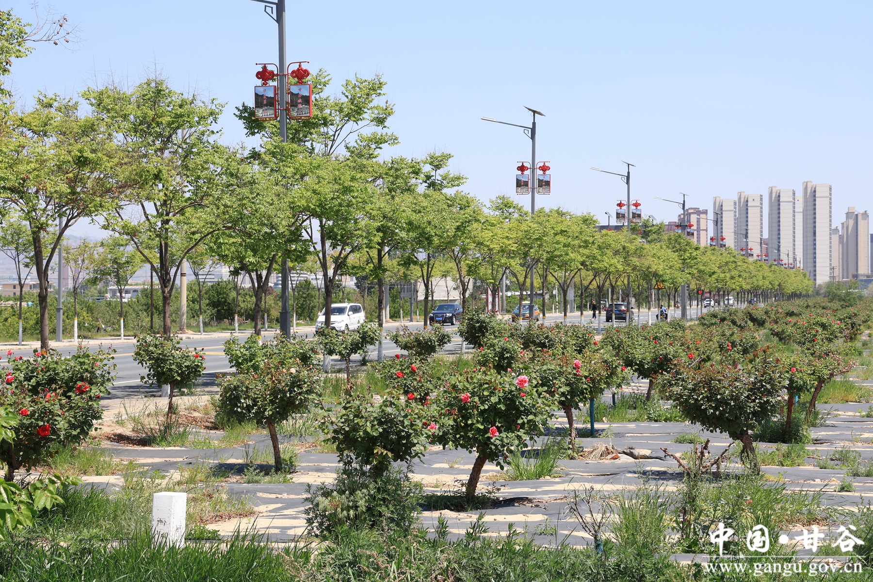 微信图片_20260505152652_10378_106